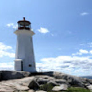 Meet your Posher, Riley